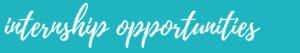 internship opportunities banner